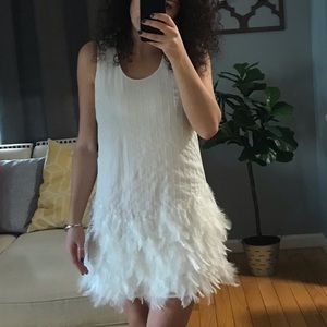 Cynthia Steffe “Hattie” Dress Size 2 Porcelain